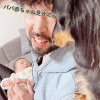 覗く犬