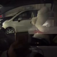 「知らんぷりしとこ…」