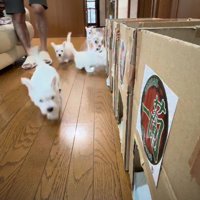 一蘭みたいな食事部屋！