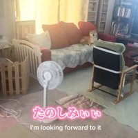 ソファで寛ぐこまりちゃん