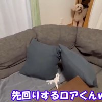先回りして移動を阻止