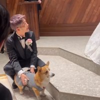 飼い主さんご夫婦にリングを届け終えた中型犬