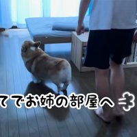「もう帰ってきた！？」