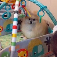 どく気ゼロ！