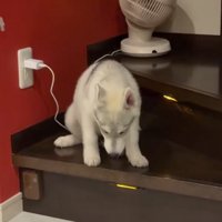 ソワソワ…