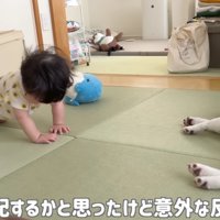 「強くなれ、坊や…」