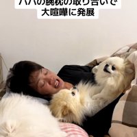 無関心のメルちゃん