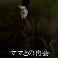 「やっぱりいた！！」