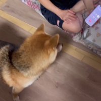 おばあちゃんと電話