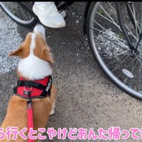 「お姉ちゃんも一緒に行こうよ～♪」