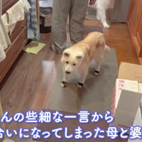 喧嘩が始まってしまった…