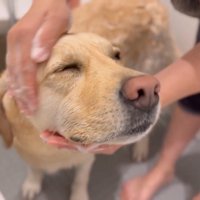 シャンプー中もうっとり…♡