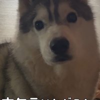 長女の帰宅も嬉しい♪