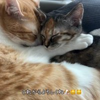 仲良しで可愛い♪