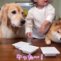 「早く食べたい！」