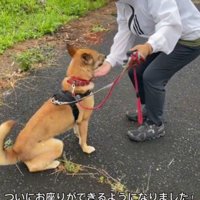 おすわりもできるよ！