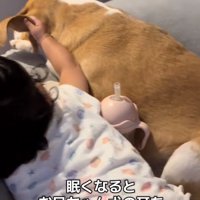 耳を触る赤ちゃん1