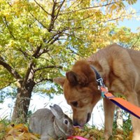 心配性の風太くん