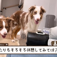 「もうお疲れかな…？」