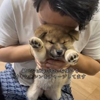 犬吸いするパパ