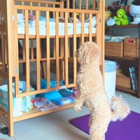 「怪我とかしてないかな？」