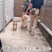 みんなでカフェテラスへ♪