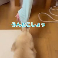 「うんとこしょ、どっこいしょ」