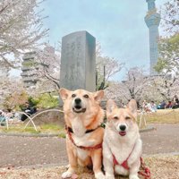 まるでマイクロビキニ！？