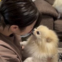 ママの口元を舐める犬