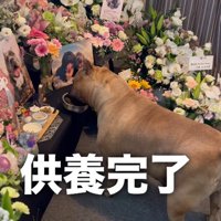 ラブちゃんなりの供養