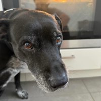 キッチンで作業をしていたら…