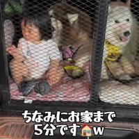余裕綽々の息子さん