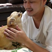 枕に乗って三度寝を阻止