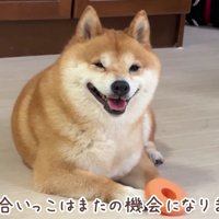 切ない結末にクスッ