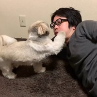 みかんを食べたいてんぽさん3