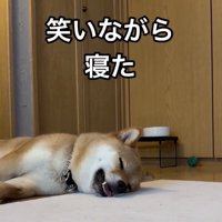 幸せいっぱい