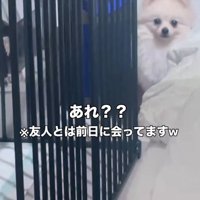 久々の再会に…