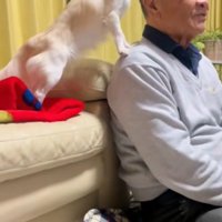 おじいちゃんに夢中！？