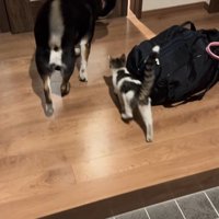 家族として迎えることに♡