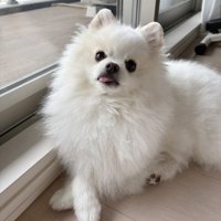 あざと可愛い