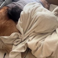 でも、愛おしい…♡