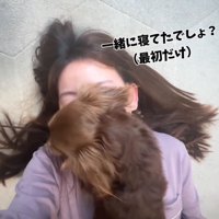 背中を撫でてもらう犬