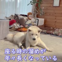 ちょっぴりひとやすみ