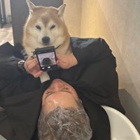 シャンプー中はお腹の上で見守ってくれます