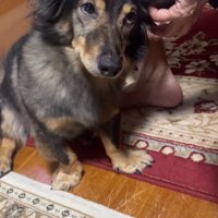 白目になり始めるマックくん