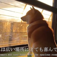 楽しかった思い出の場所…