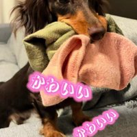 唯一無二の個性だね！！