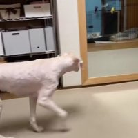 「やっぱり私だったよね…？」