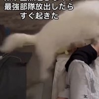 豪快な特大ジャンプ！