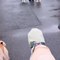 実家のわんこと合流